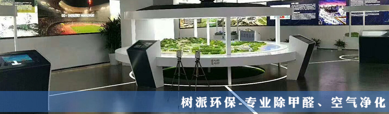 室内空气净化-德清中国地理信息大会展厅