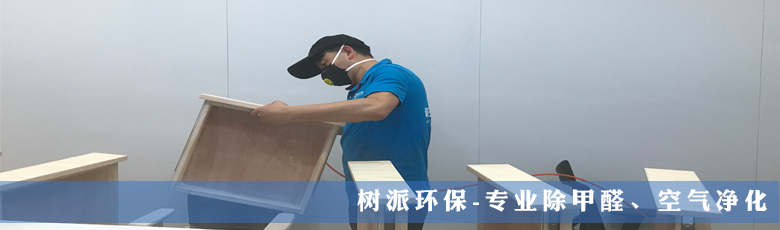 北京树派环保-教育机构除甲醛
