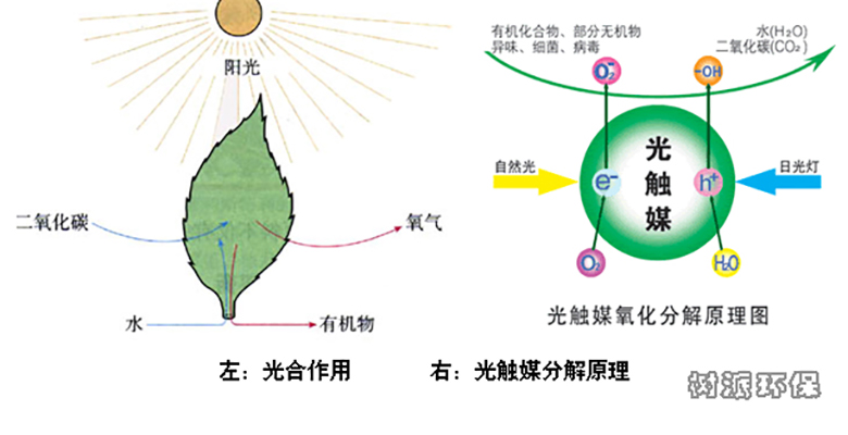 光触媒作用原理