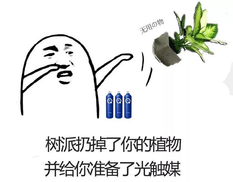 树派扔掉了你的植物并给你准备了光触媒